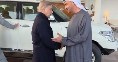 Shehbaz Sharif Meets UAE President to Deepen Economic, Strategic Ties