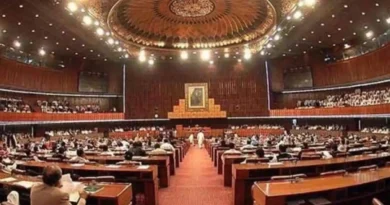 Parliament Moves to Tackle Domestic Violence, Approves Daanish Schools Authority Law