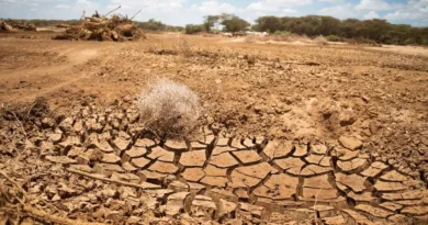 US Exit From Key UN Climate Bodies Raises Alarm Among African Scientists