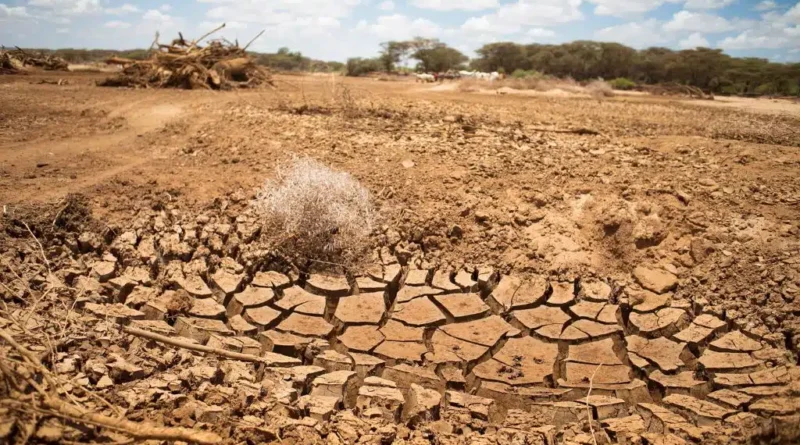 US Exit From Key UN Climate Bodies Raises Alarm Among African Scientists