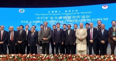 Pakistan Targets $6–8 Billion Mineral Exports with China