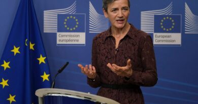 Former EU Commissioner Warns US Pressure on Greenland