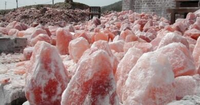 Interest-Free Loans of PKR 5 Billion Announced to Expand Pink Salt Business