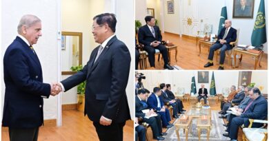 PM Shehbaz Sharif Highlights Strengthening Pakistan-Myanmar Ties