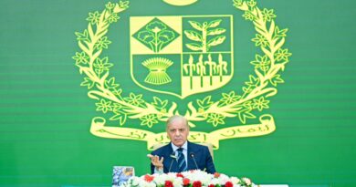 Prime Minister Highlights Security, Economic Growth at KP Security Workshop