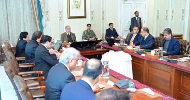 PM Approves National Gemstones Policy Framework