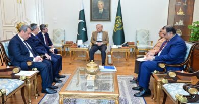 Pakistan and Azerbaijan Step Up Cooperation on Investment and Regional Security