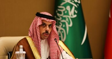 Saudi, Syrian Foreign Ministers Discuss Developments in Syria