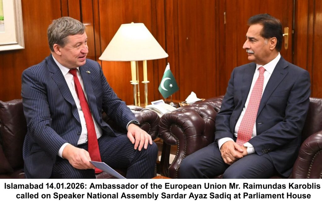 Speaker Stresses Stronger Parliamentary Ties With EU