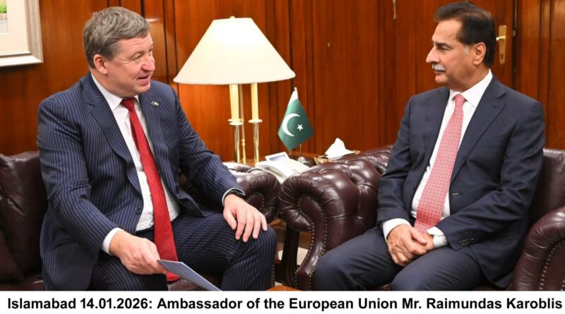 Speaker Stresses Stronger Parliamentary Ties With EU