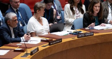 UN Security Council to Meet on Situation in Iran