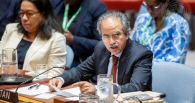 Pakistani Envoy Warns UN of Terror Threats Linked to Afghanistan