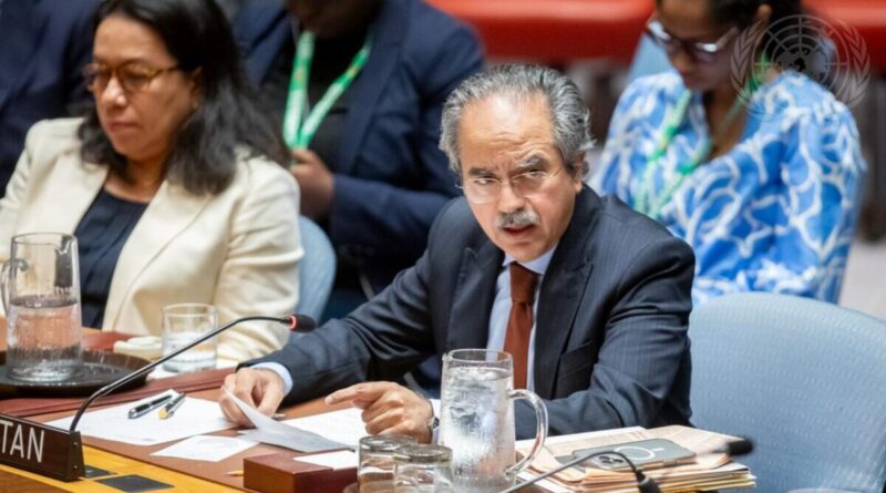 Pakistani Envoy Warns UN of Terror Threats Linked to Afghanistan