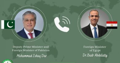 Ishaq Dar, Egyptian FM Discuss Regional Developments