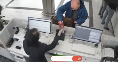 Russian Media Claims Dutch Diplomat Smuggled Starlink