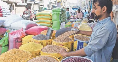 Pakistan Spends $980 Million on Pulse Imports