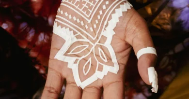 Traditional Djabi Celebrates Malian Wedding Heritage