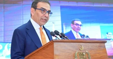 Federal Minister Criticizes Government Business Ventures, Calls for Economic Documentation