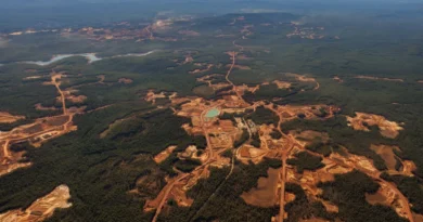 Australia Grants Exemption Amid Alcoa Environmental Controversy