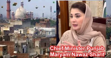 Safe Basant Model to Be Extended to Other Cities, Says Maryam Nawaz