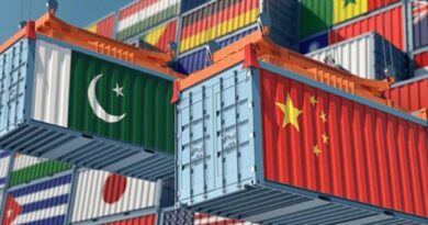 Pakistan’s Marble and Onyx Exports to China Hold Steady in 2025