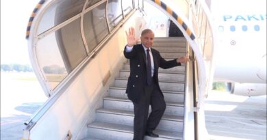 Shehbaz Sharif Begins Two-Day Official Visit to Austria