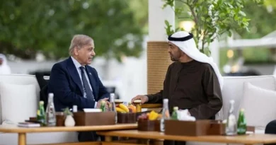 IMF Flags Concern Over UAE Deposit Rollover