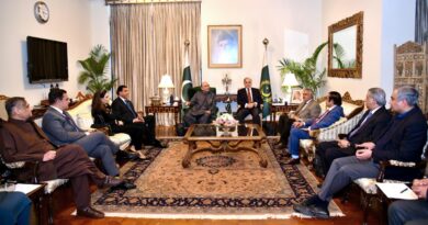 Shehbaz Sharif, Zardari Discuss Economy and Regional Environment