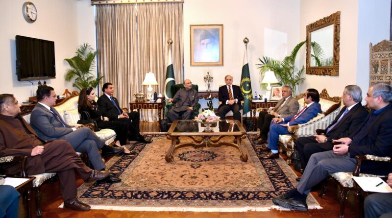 Shehbaz Sharif, Zardari Discuss Economy and Regional Environment