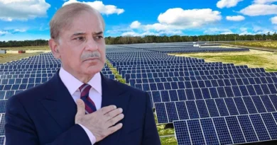 Government Moves to Safeguard Existing Solar Power Contracts