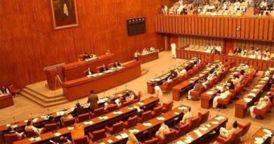 Senate Approves Tougher Child Pornography and Assault Victim Laws