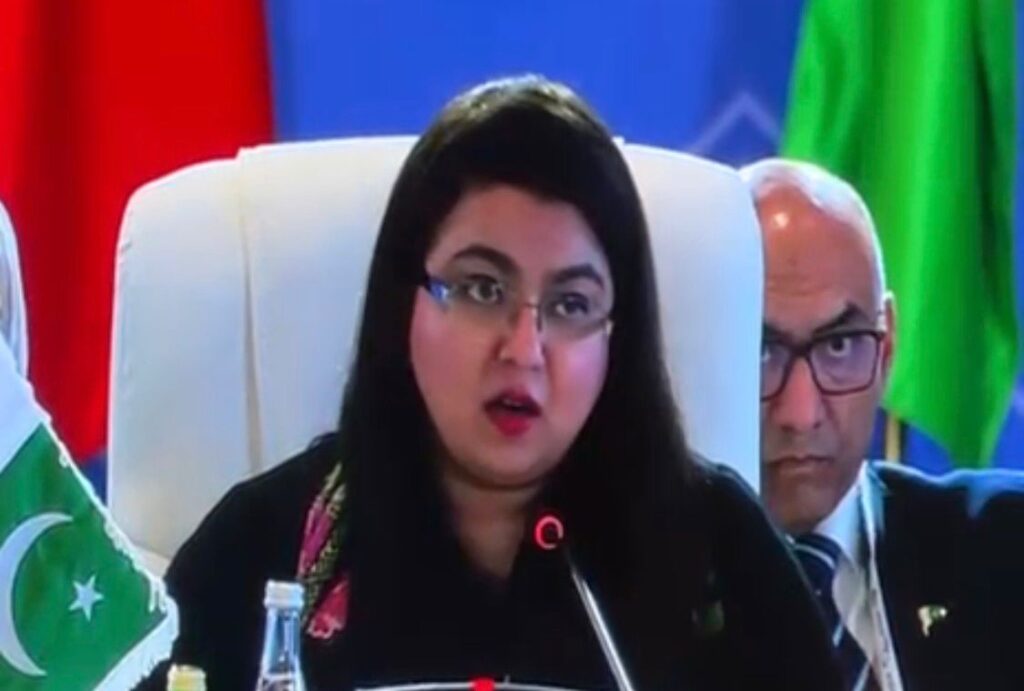 Pakistan to Lead Digital Cooperation Organization in 2026