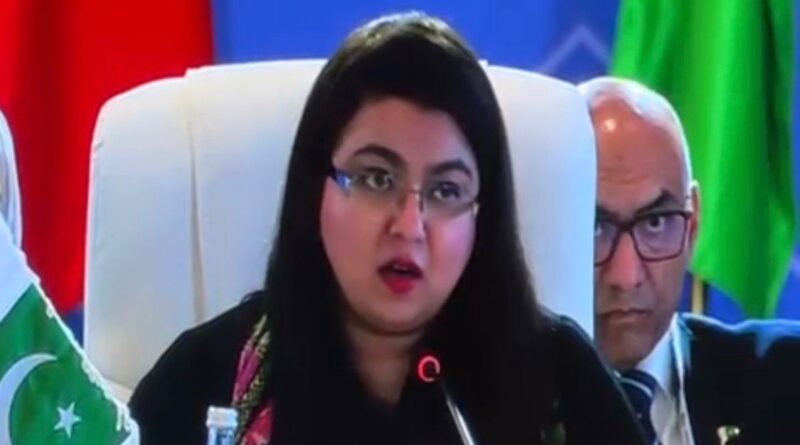 IT Minister Highlights Inclusive Digital Growth at DCO General Assembly