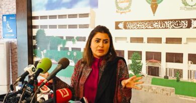 Shazia Marri Slams Nepra Decision, Calls Solar Policy Anti-People