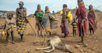 Severe Drought in Kenya Threatens Over Two Million with Hunger