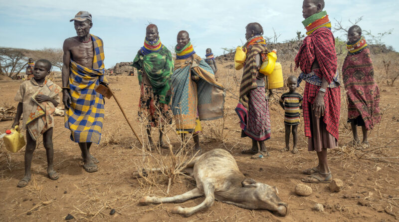 Severe Drought in Kenya Threatens Over Two Million with Hunger