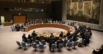 UN Security Council Denounces Suicide Bombing at Islamabad Place of Worship