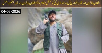 Armed Militants Targeted in Chaman Sector Operation