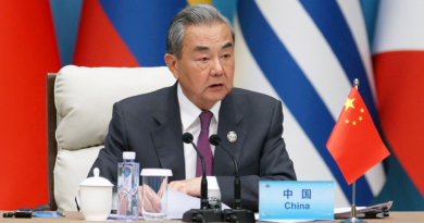 Foreign Minister Dar Coordinates Stability With Egypt China