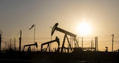 Experts Warn Oil Could Reach 120 Dollars Per Barrel