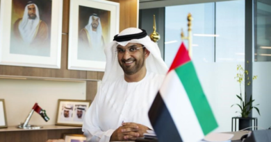 UAE Energy Minister Urges Global Action Against Iran to Secure Strait