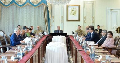 Prime Minister Shehbaz Sharif Mandates Accelerated Transition to Electric Vehicles