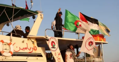 Foreign Ministers Condemn Israeli Naval Assault on Humanitarian Flotilla