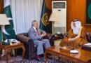 Pakistan Deputy Prime Minister Holds Strategic Talks with Global Leaders