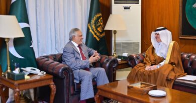 Pakistan Deputy Prime Minister Holds Strategic Talks with Global Leaders